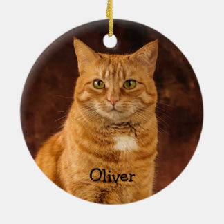 Personlig Orange Tabby katt Julgransprydnad Keramik