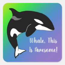 Personlig Orca Killer Whale