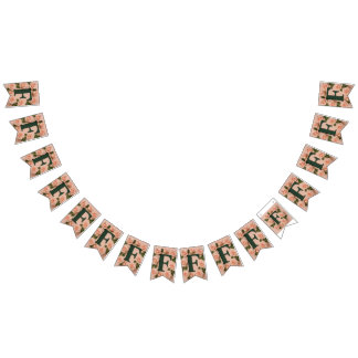 Personlig Partybanner Kit med Snurra* Vimplar