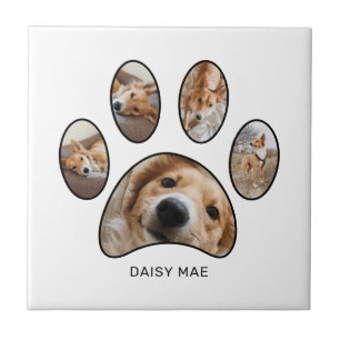 Personlig Paw Print Foto Collage för Djurälskare Kakelplatta