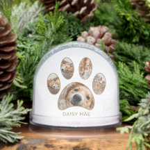 Personlig Paw Skriv ut Pet Namn Year Photo Collage