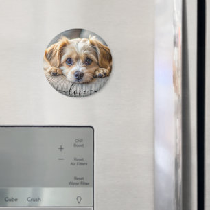 Personlig pet 2 fotot hund älskare keepsaké namn magnet