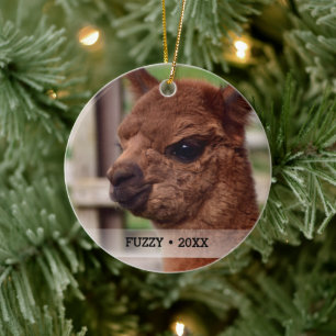Personlig Pet Alpaca Photo Namn Julgran Julgransprydnad Keramik