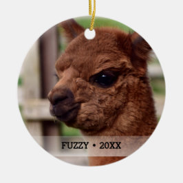 Personlig Pet Alpaca Photo Namn Julgran Julgransprydnad Keramik