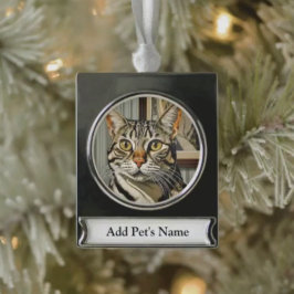 Personlig Pet Banner Ornament
