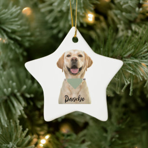 PERSONLIG PET-BETECKNING JULGRANSPRYDNAD KERAMIK