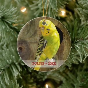 Personlig Pet Bird Photo & Namn Julgran Julgransprydnad Keramik