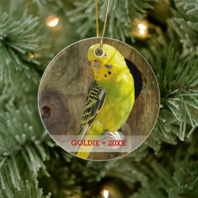 Personlig Pet Bird Photo & Namn Julgran Julgransprydnad Keramik (Träd)