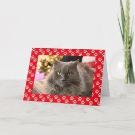 Personlig Pet Cat Meowy-julkort Helgkort