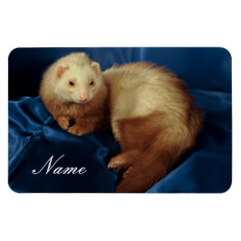 Personlig Pet Ferret Magnet