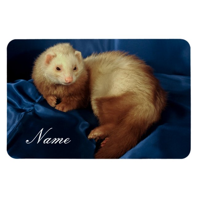 Personlig Pet Ferret Magnet (Horisontell)