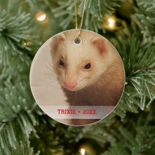 Personlig Pet Ferret Photo Namn Julgran Julgransprydnad Keramik