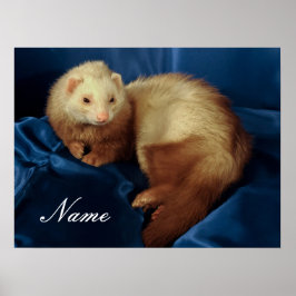 Personlig Pet Ferret Poster
