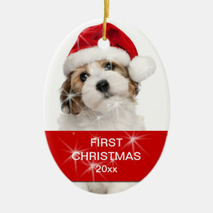 Personlig Pet First julfoto Julgransprydnad Keramik