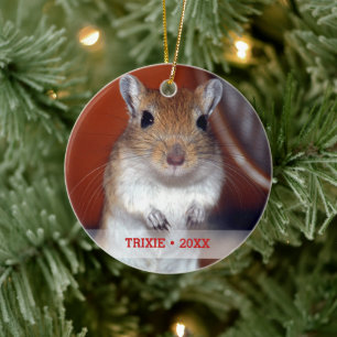 Personlig Pet Gerbil Photo Namn Julgran Julgransprydnad Keramik