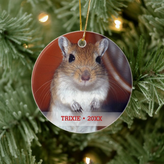 Personlig Pet Gerbil Photo Namn Julgran Julgransprydnad Keramik (Träd)
