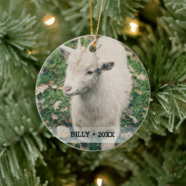 Personlig Pet Goat Photo Namn Julgran Julgransprydnad Keramik