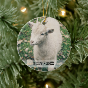 Personlig Pet Goat Photo Namn Julgran Julgransprydnad Keramik