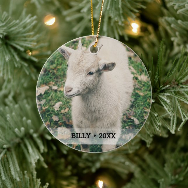 Personlig Pet Goat Photo Namn Julgran Julgransprydnad Keramik (Träd)