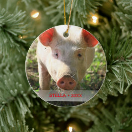 Personlig Pet Gris Photo & Namn Julgran Julgransprydnad Keramik
