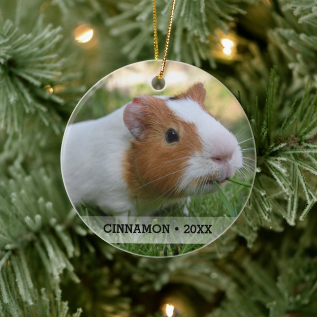 Personlig Pet Guinea Gris Photo Julgran Julgransprydnad Keramik (Träd)