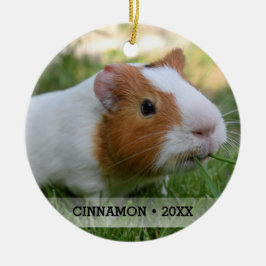 Personlig Pet Guinea Gris Photo Julgran Julgransprydnad Keramik