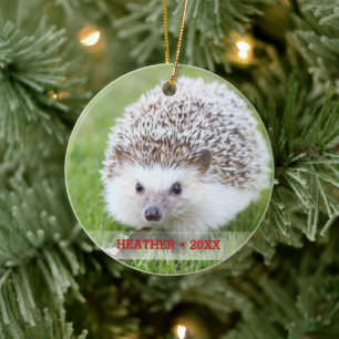Personlig Pet Hedgehog Photo Julgran Julgransprydnad Keramik