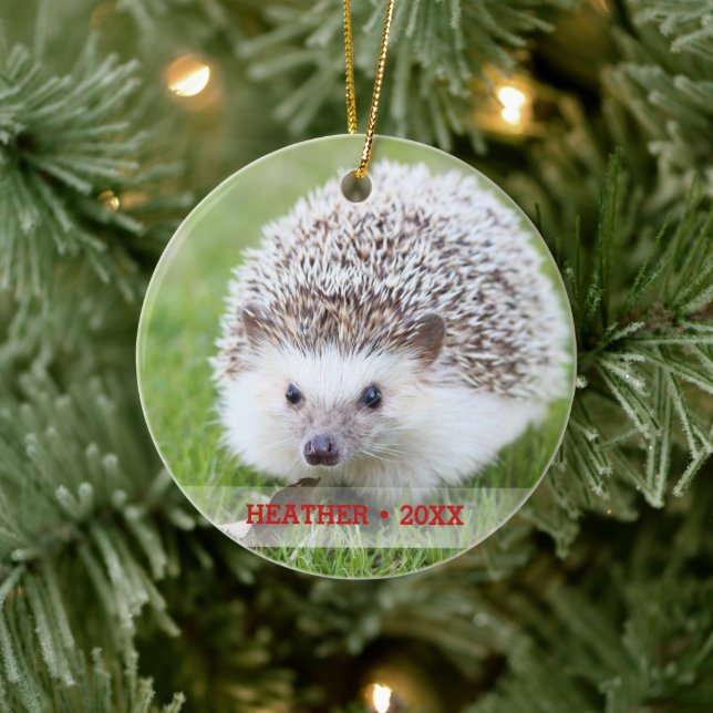 Personlig Pet Hedgehog Photo Julgran Julgransprydnad Keramik (Träd)