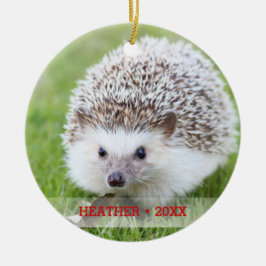 Personlig Pet Hedgehog Photo Julgran Julgransprydnad Keramik