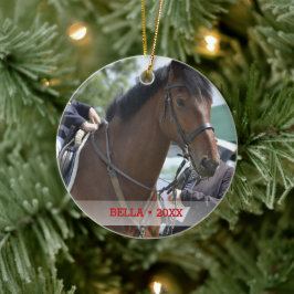 Personlig Pet Horse Photo & Namn Julgran Julgransprydnad Keramik