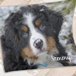 Personlig Pet-Hund-foto för enkel modern Anpassnin Fleecefilt<br><div class="desc">Vi presenterar vår filt från anpassningsbar bild, perfekten för att behålla dina nära och mysiga nära. Denna mjuka och varma filt har en modern och minimalistisk utformning och skapar den som ett underbart tillägg till vilken hemdekoration som helst. Du kan anpassa det med valfri bild, oavsett om det är ett...</div>