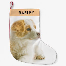 Personlig Pet Hund Photo Festive Helgdag Cute Liten Julstrumpa