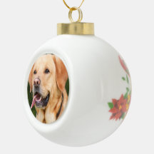 Personlig Pet Hund Photo