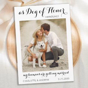 Personlig Pet Hund Photo Modern Script Bröllop Spara Datumet