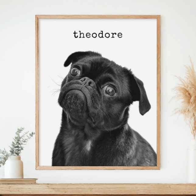 Personlig Pet Hund Photo Namn-minimalistisk mur Poster (Skapare uppladdad)