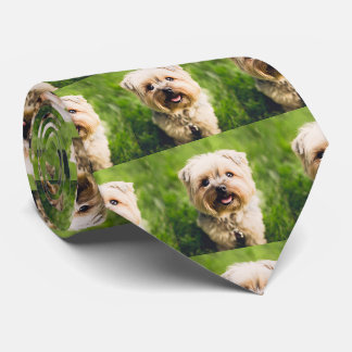 Personlig Pet Hund Photo Slips