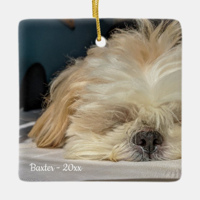 Personlig Pet Hund Puppy Ornament (Framsida)