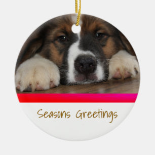 Personlig Pet-julprydnad Julgransprydnad Keramik