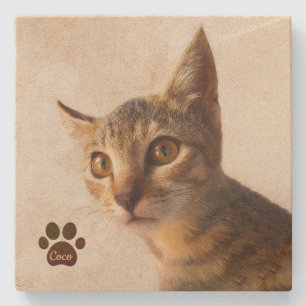 Personlig Pet Kitten Cat-fotomall för Hund Stenunderlägg
