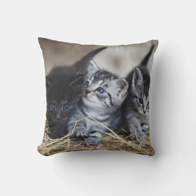 Personlig Pet Kudde (Framsida)