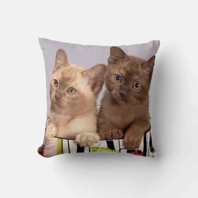 Personlig Pet Kudde (Framsida)