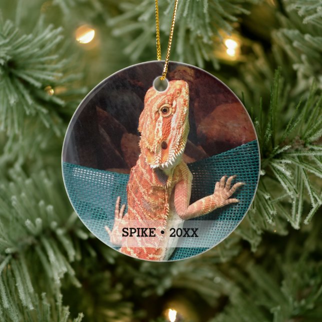 Personlig Pet Lizard Photo Julgran Julgransprydnad Keramik (Träd)