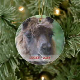 Personlig Pet Llama Photo & Namn Julgran Julgransprydnad Keramik