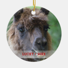 Personlig Pet Llama Photo & Namn Julgran Julgransprydnad Keramik