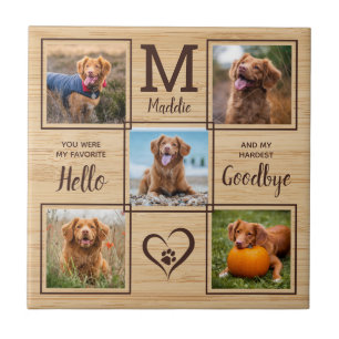 Personlig Pet Memorial Pet Loss 5 Photo Collage Kakelplatta
