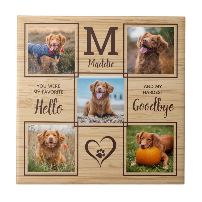 Personlig Pet Memorial Pet Loss 5 Photo Collage Kakelplatta (Framsidan)