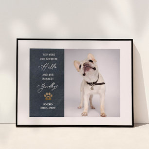 Personlig Pet Memorial Pet Loss-fotokollage Poster