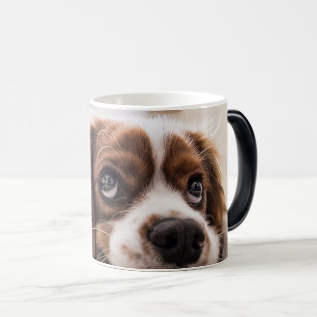Personlig Pet Morphing Mugg - Photo Reveal Mugg (Framsida höger)