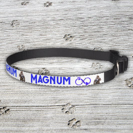 Personlig Pet Namn med bild | Halsband Husdjur