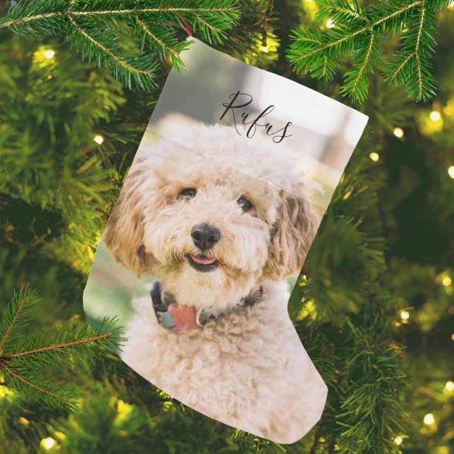 Personlig Pet Namn och Photo Liten Julstrumpa (Personalized Pet Name and Photo Small Christmas Stocking)